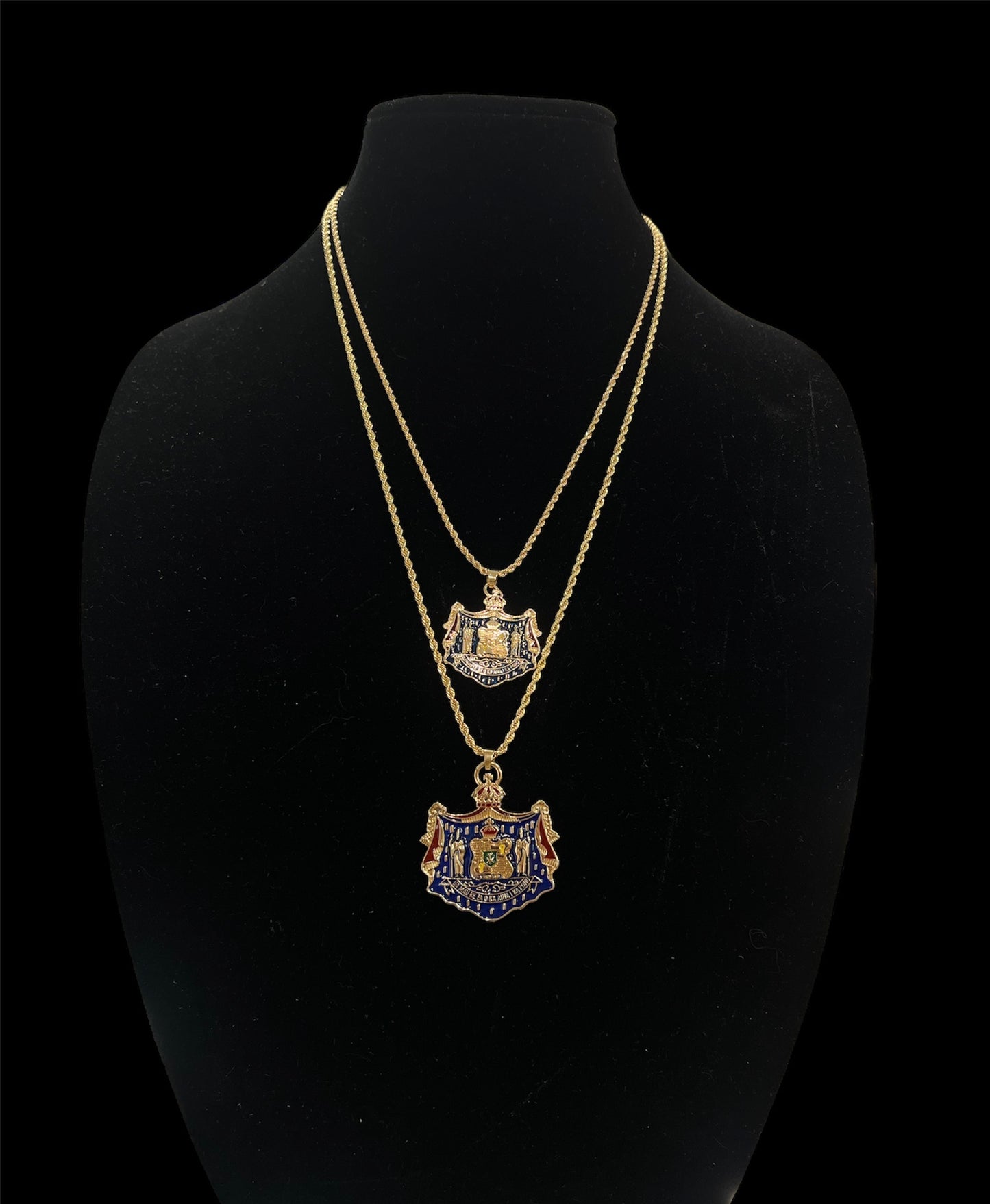 Coat Of Arms Multicolored Necklace