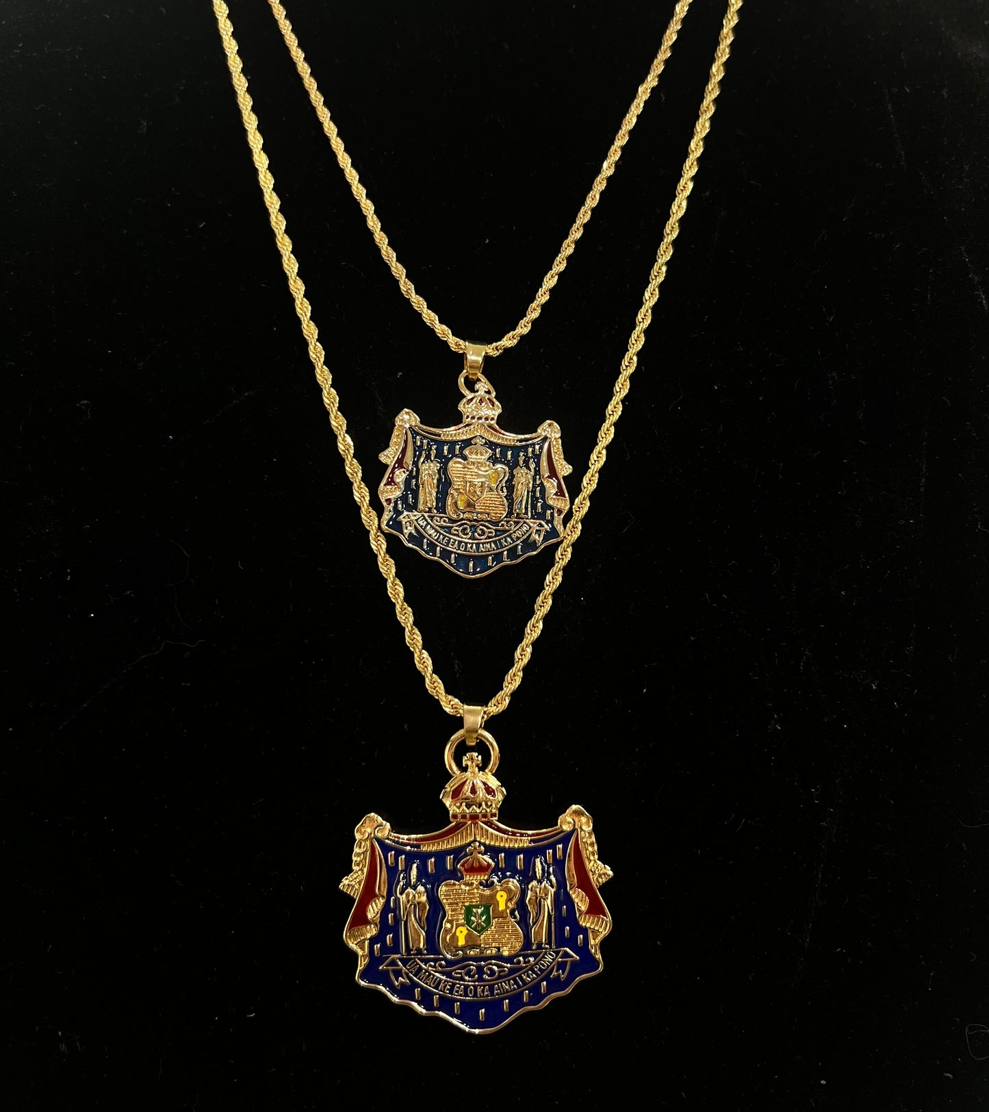 Coat Of Arms Multicolored Necklace