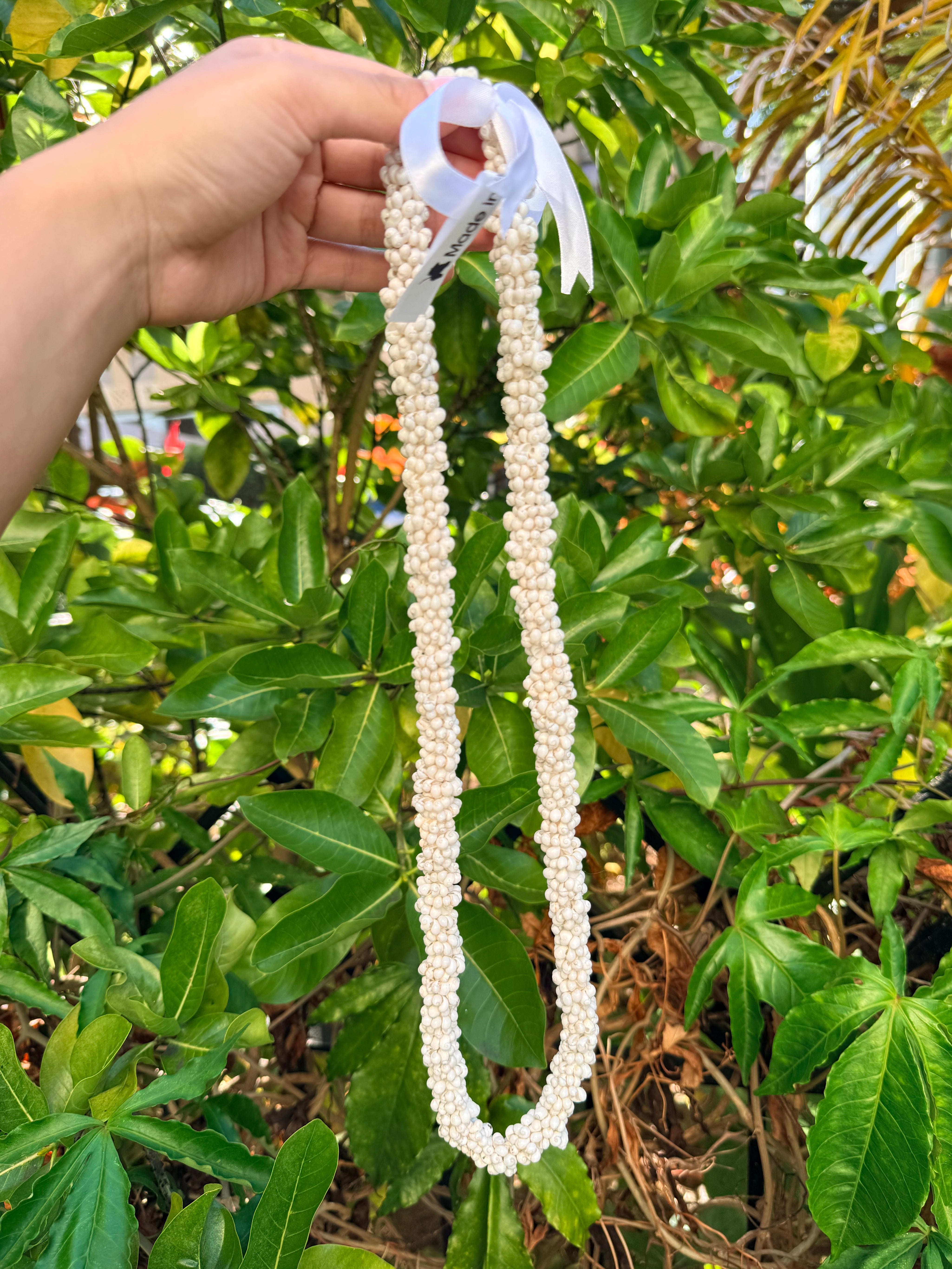 White Mongo Shell Lei